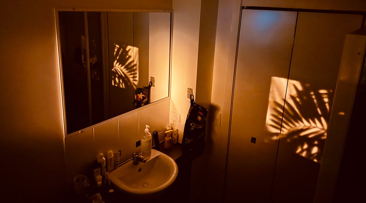 A warm bathroom with sunlight casting leaf shadows on the wall