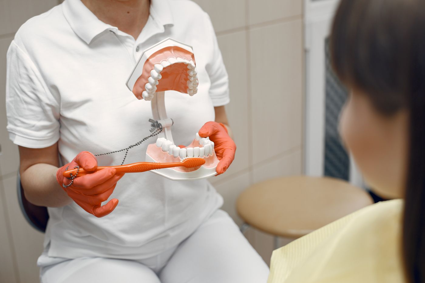 A dental professional demonstrating brushing on a model